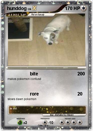 Pokemon hunddog