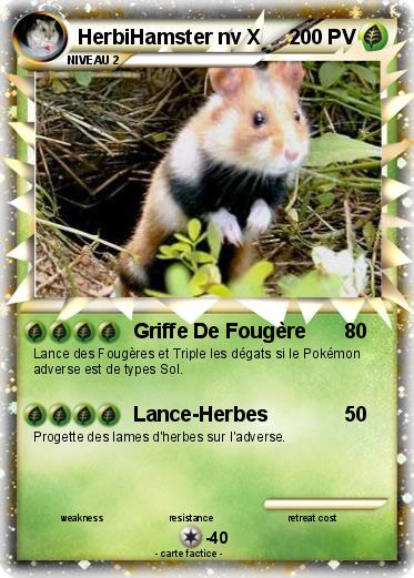 Pokemon HerbiHamster nv X