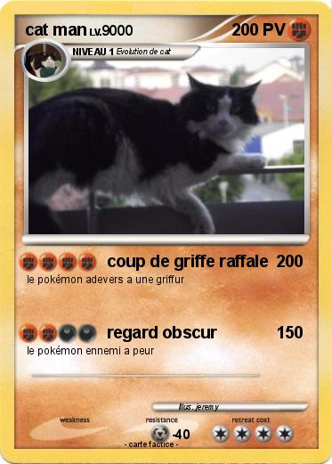 Pokemon cat man