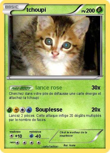 Pokemon tchoupi