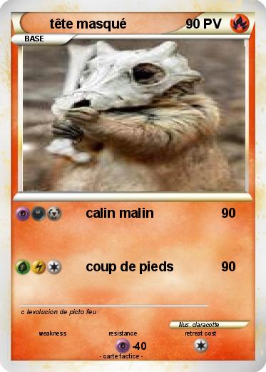 Pokemon tête masqué