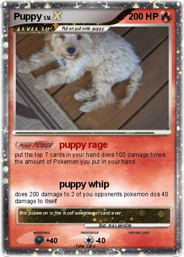Pokemon Puppy