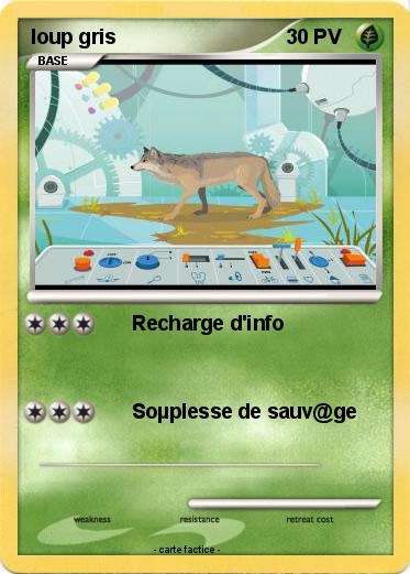 Pokemon loup gris
