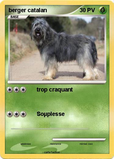 Pokemon berger catalan