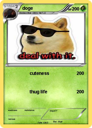Pokemon doge