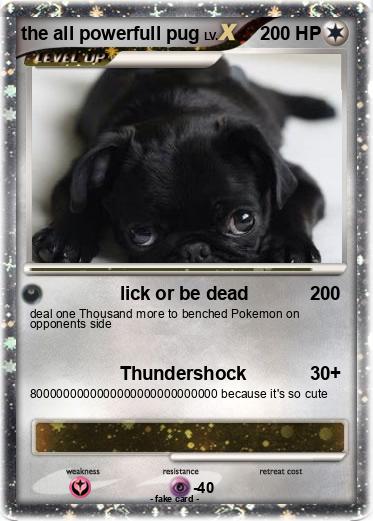 Pokemon the all powerfull pug