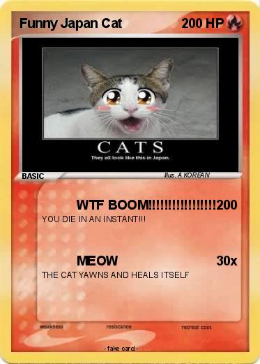 Pokemon Funny Japan Cat