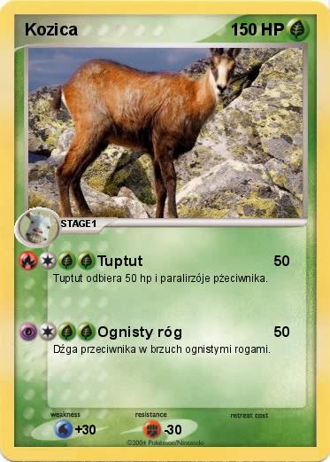 Pokemon Kozica