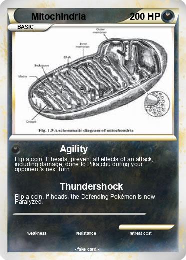 Pokemon Mitochindria