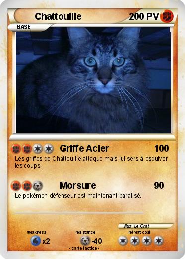 Pokemon Chattouille