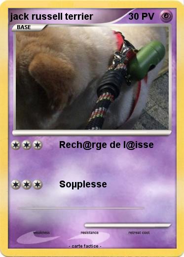 Pokemon jack russell terrier