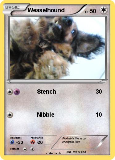 Pokemon Weaselhound