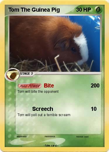 Pokemon Tom The Guinea Pig