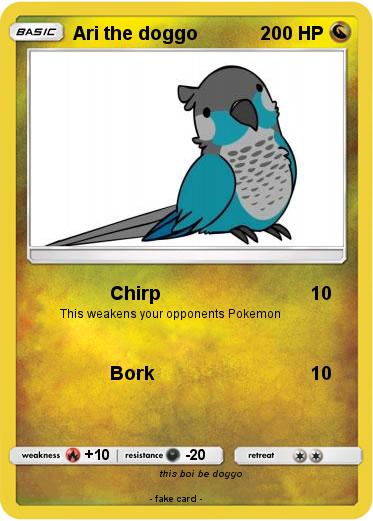 Pokemon Ari the doggo