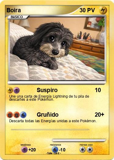 Pokemon Boira