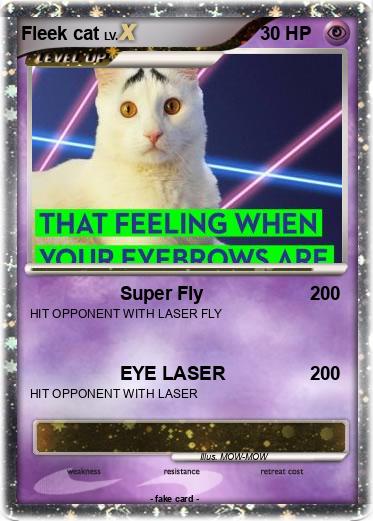 Pokemon Fleek cat