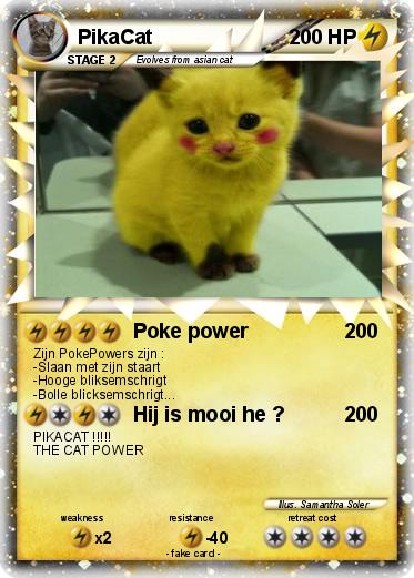 Pokemon PikaCat