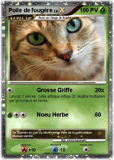 Pokemon Poile de fougère