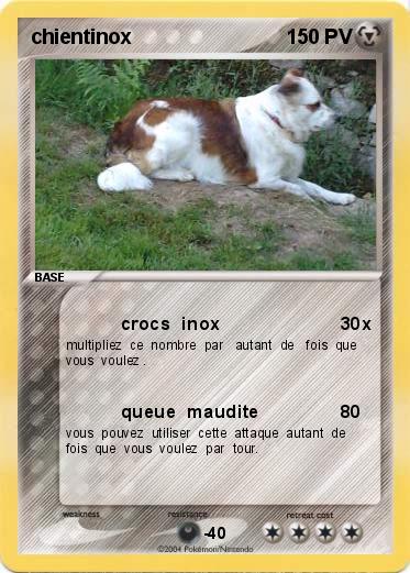 Pokemon chientinox