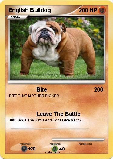 Pokemon English Bulldog