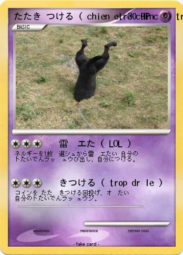 Pokemon たたき つける ( chien etre c0incé ) tr@dµition