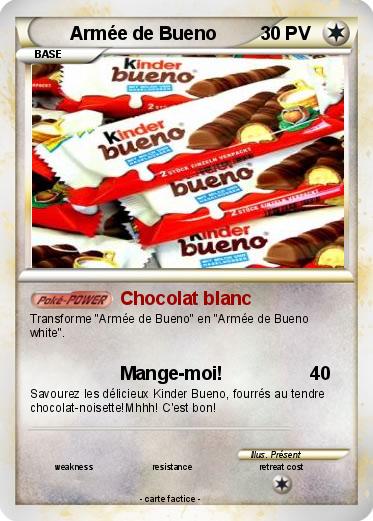 Pokemon Armée de Bueno