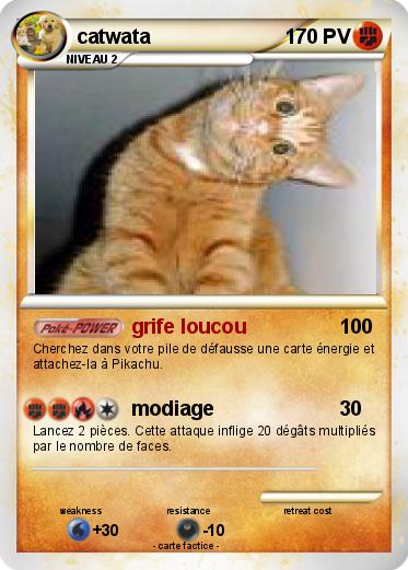 Pokemon catwata