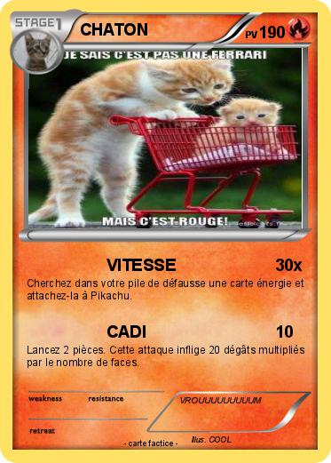 Pokemon CHATON