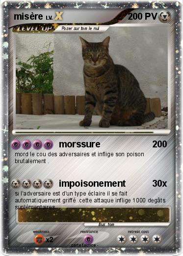 Pokemon misère