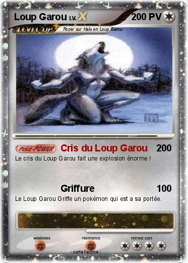 Pokemon Loup Garou