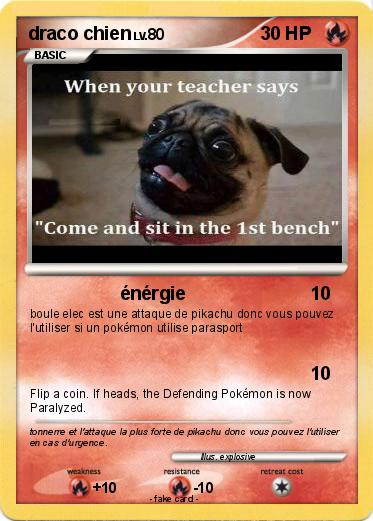 Pokemon draco chien