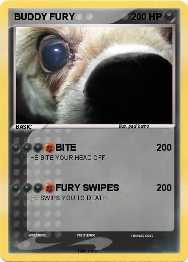 Pokemon BUDDY FURY