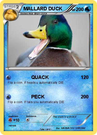 Pokemon MALLARD DUCK