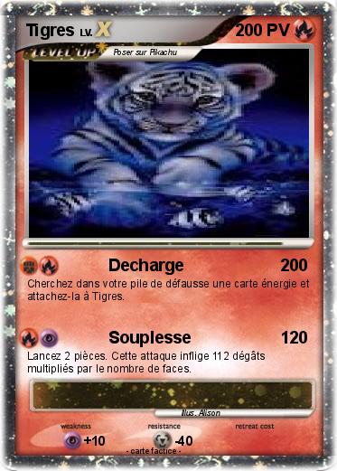 Pokemon Tigres