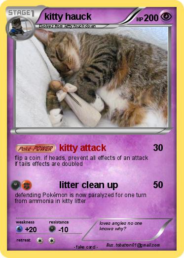 Pokemon kitty hauck