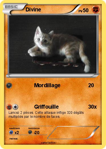 Pokemon Divine