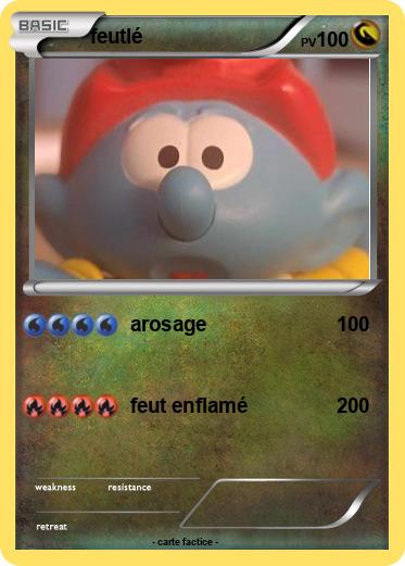 Pokemon feutlé