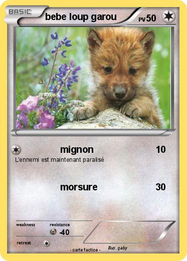 Pokemon bebe loup garou