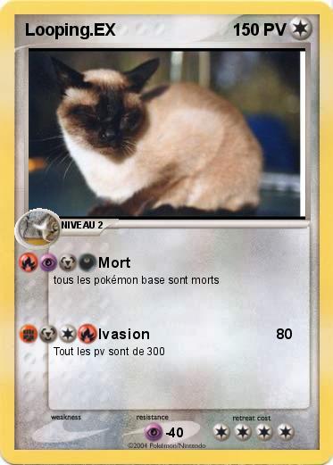 Pokemon Looping.EX
