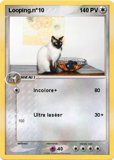Pokemon Looping.n°10