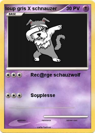 Pokemon loup gris X schnauzer