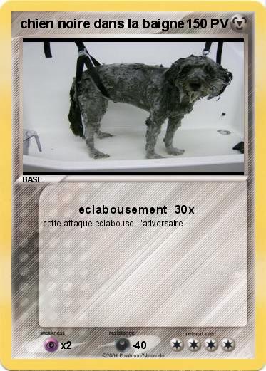 Pokemon chien noire dans la baigne