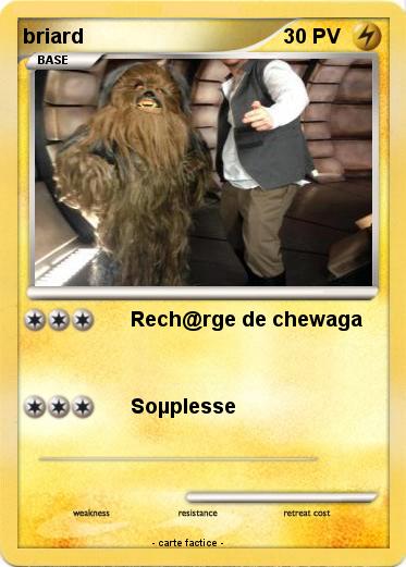 Pokemon briard