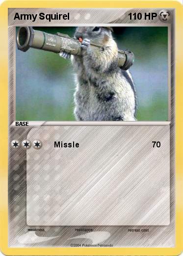 Pokemon Army Squirel