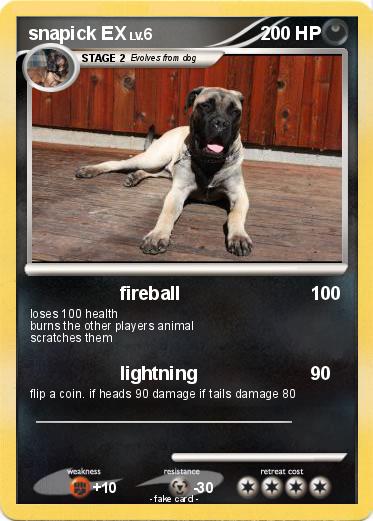 Pokemon snapick EX