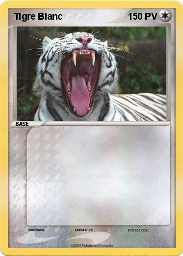 Pokemon Tigre Bianc