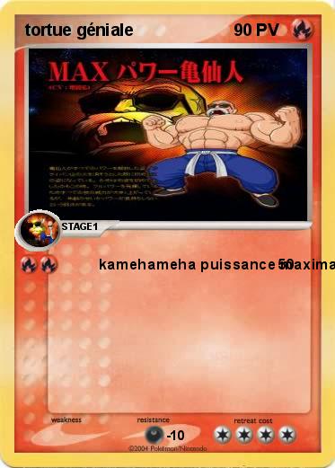 Pokemon tortue géniale