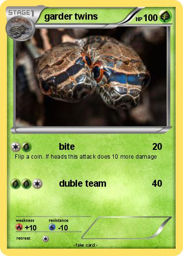 Pokemon garder twins