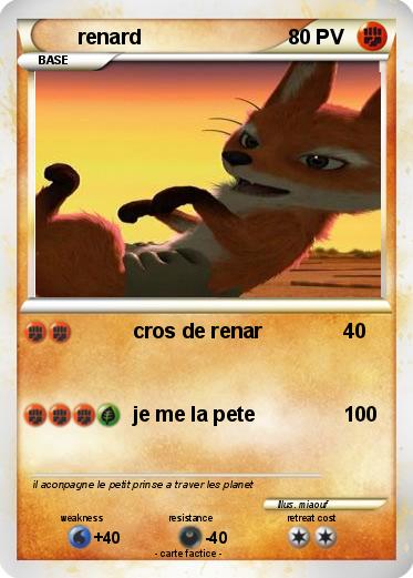 Pokemon renard