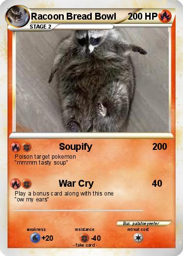 Pokemon Racoon Bread Bowl